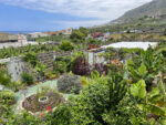 Unique house with fruit garden in the north of Tenerife