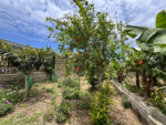 Unique house with fruit garden in the north of Tenerife